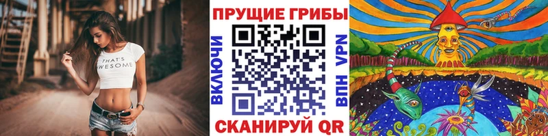 Галлюциногенные грибы мицелий Геленджик