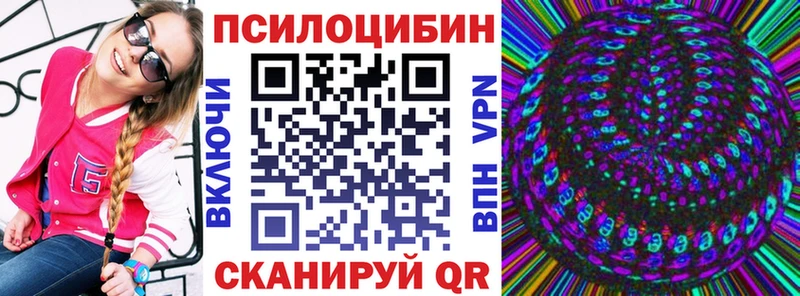 mega зеркало  Геленджик  Псилоцибиновые грибы Psilocybe 