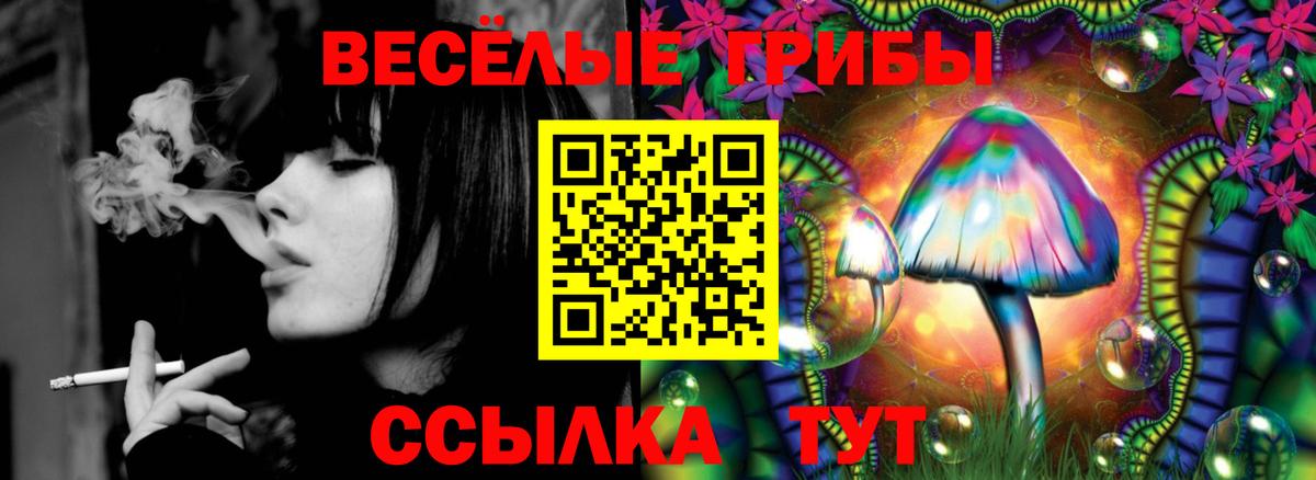 Галлюциногенные грибы Psilocybine cubensis  Вход с VPN  Геленджик 